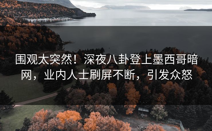 围观太突然!深夜八卦登上墨西哥暗网,业内人士刷屏不断,引发众怒
