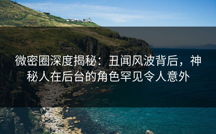 微密圈深度揭秘：丑闻风波背后，神秘人在后台的角色罕见令人意外