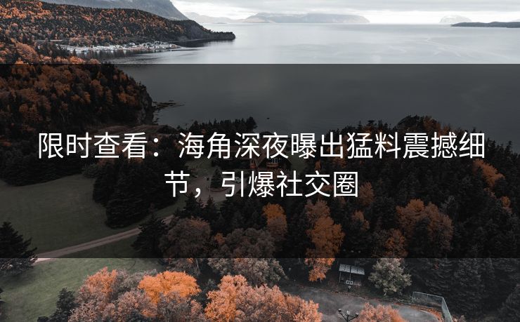 限时查看：海角深夜曝出猛料震撼细节，引爆社交圈