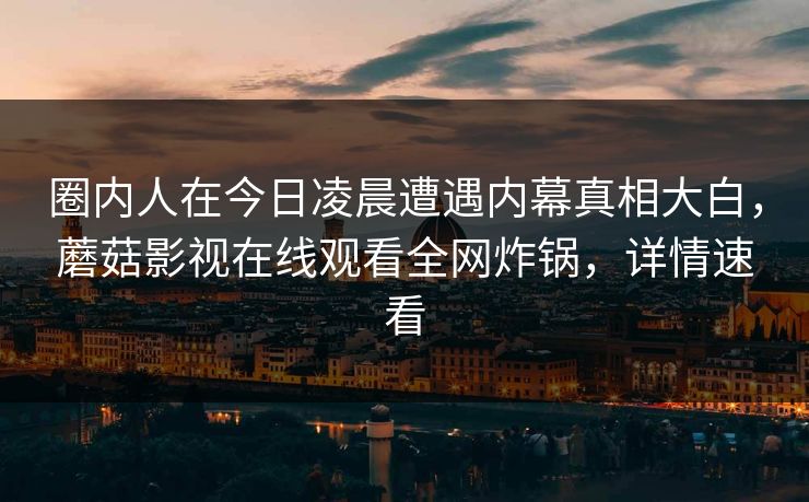 圈内人在今日凌晨遭遇内幕真相大白，蘑菇影视在线观看全网炸锅，详情速看