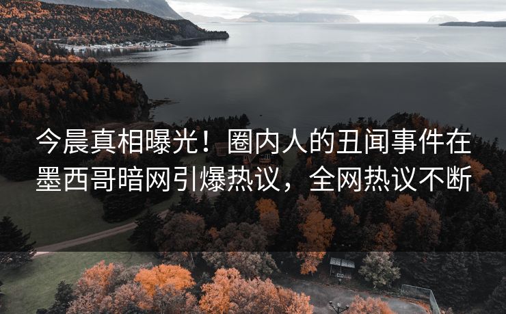 今晨真相曝光!圈内人的丑闻事件在墨西哥暗网引爆热议,全网热议不断