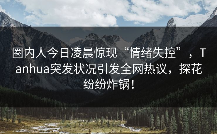 圈内人今日凌晨惊现“情绪失控”,Tanhua突发状况引发全网热议,探花纷纷炸锅!