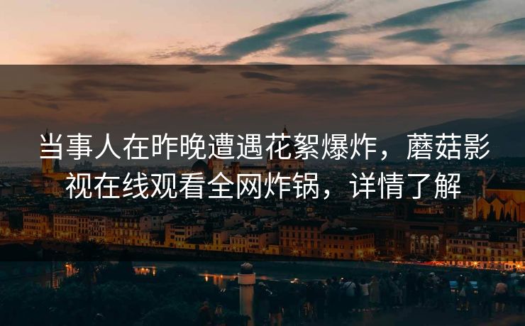当事人在昨晚遭遇花絮爆炸,蘑菇影视在线观看全网炸锅,详情了解