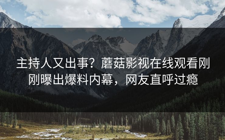 主持人又出事?蘑菇影视在线观看刚刚曝出爆料内幕,网友直呼过瘾