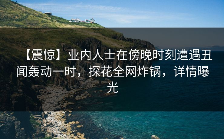【震惊】业内人士在傍晚时刻遭遇丑闻轰动一时,探花全网炸锅,详情曝光