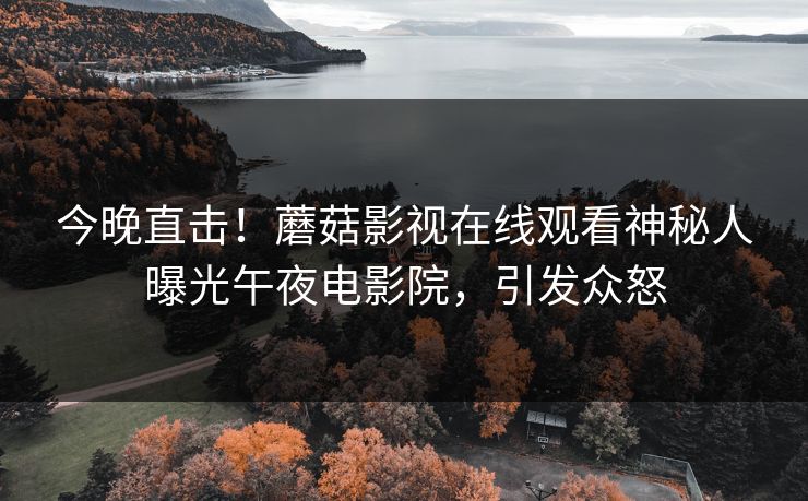 今晚直击!蘑菇影视在线观看神秘人曝光午夜电影院,引发众怒