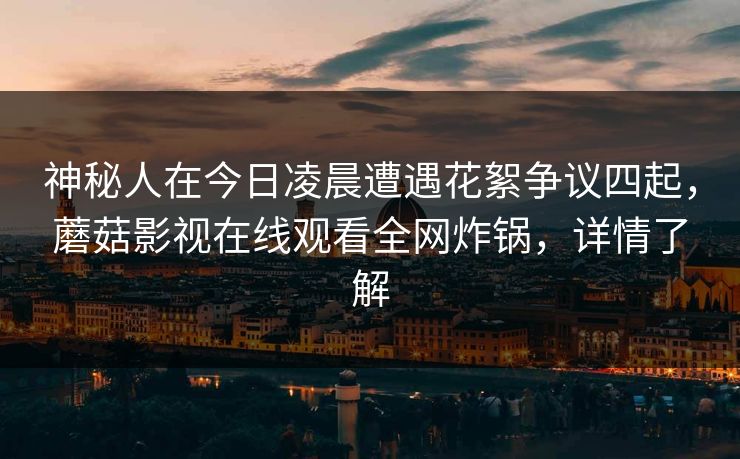 神秘人在今日凌晨遭遇花絮争议四起,蘑菇影视在线观看全网炸锅,详情了解